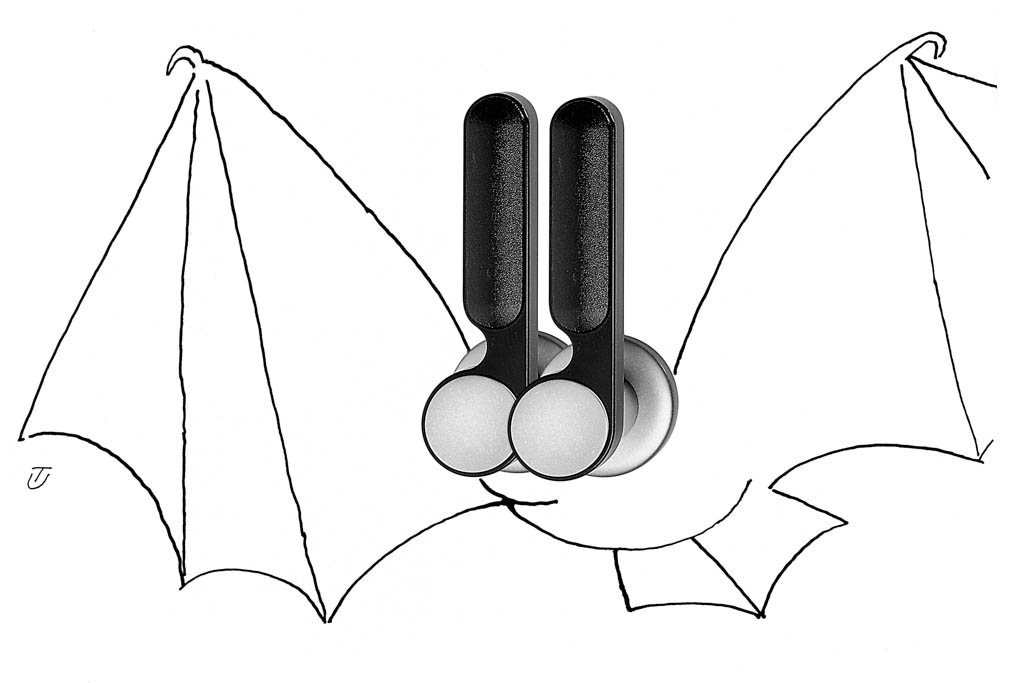 bat