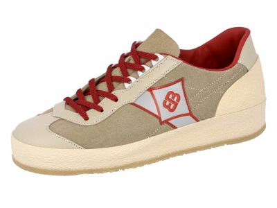 Today's model of the Brütting Road Runner. © Brütting